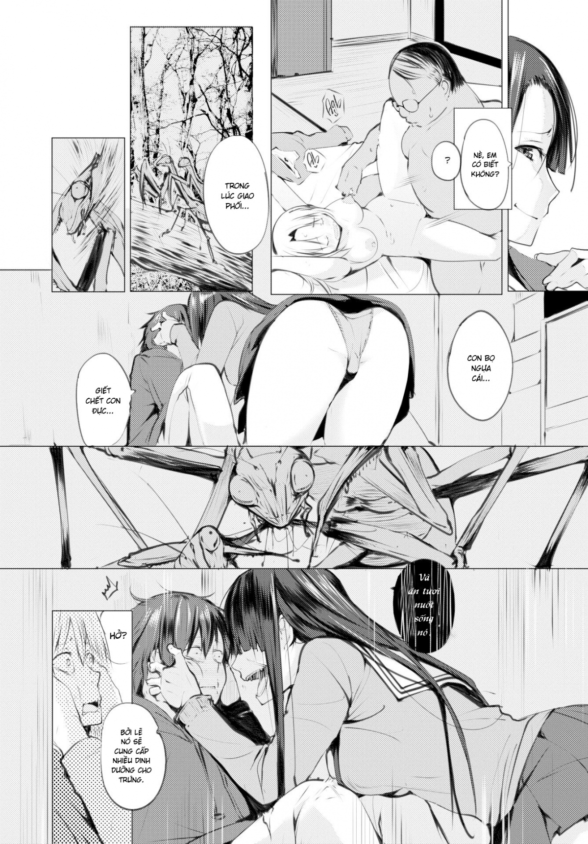 Đọc truyện hentai Những Cô Nàng Bọ Ngựa - Oneshot