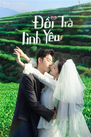 Đồi Trà Tình Yêu