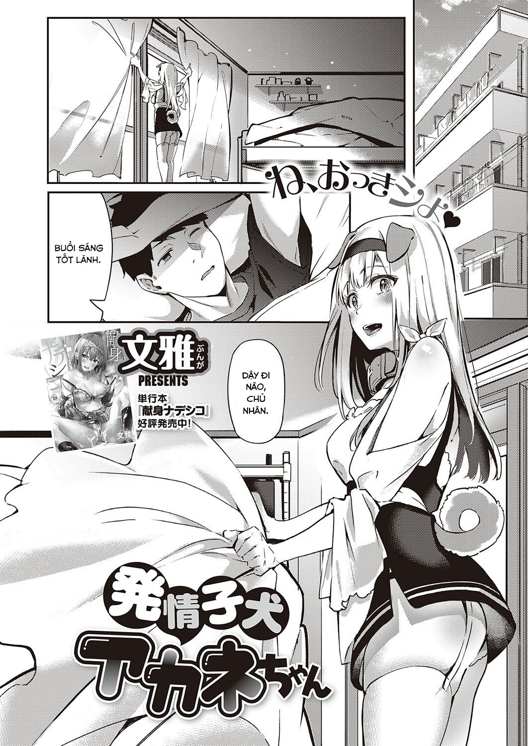Đọc truyện hentai Hatsujou Koinu Akane-chan - Oneshot