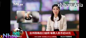 Nữ MC Vừa Đọc bảng tin vừa bị nghịch lồn Lút cán Djt nhau trên sóng live rên rỉ nứng (Nữ MC Vừa Đọc bảng tin vừa bị nghịch lồn Lút cán Djt nhau trên sóng live rên rỉ nứng) [26]
