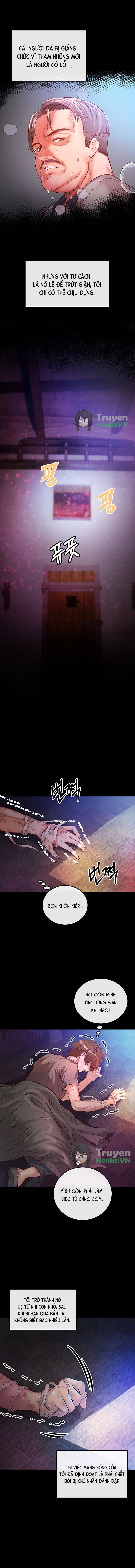 Đọc truyện hentai Trả thù bằng dàn Harem - Chap 1