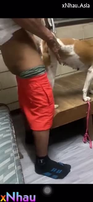 Cặc già đụ chó cái (Cặc già đụ chó cái) [26]