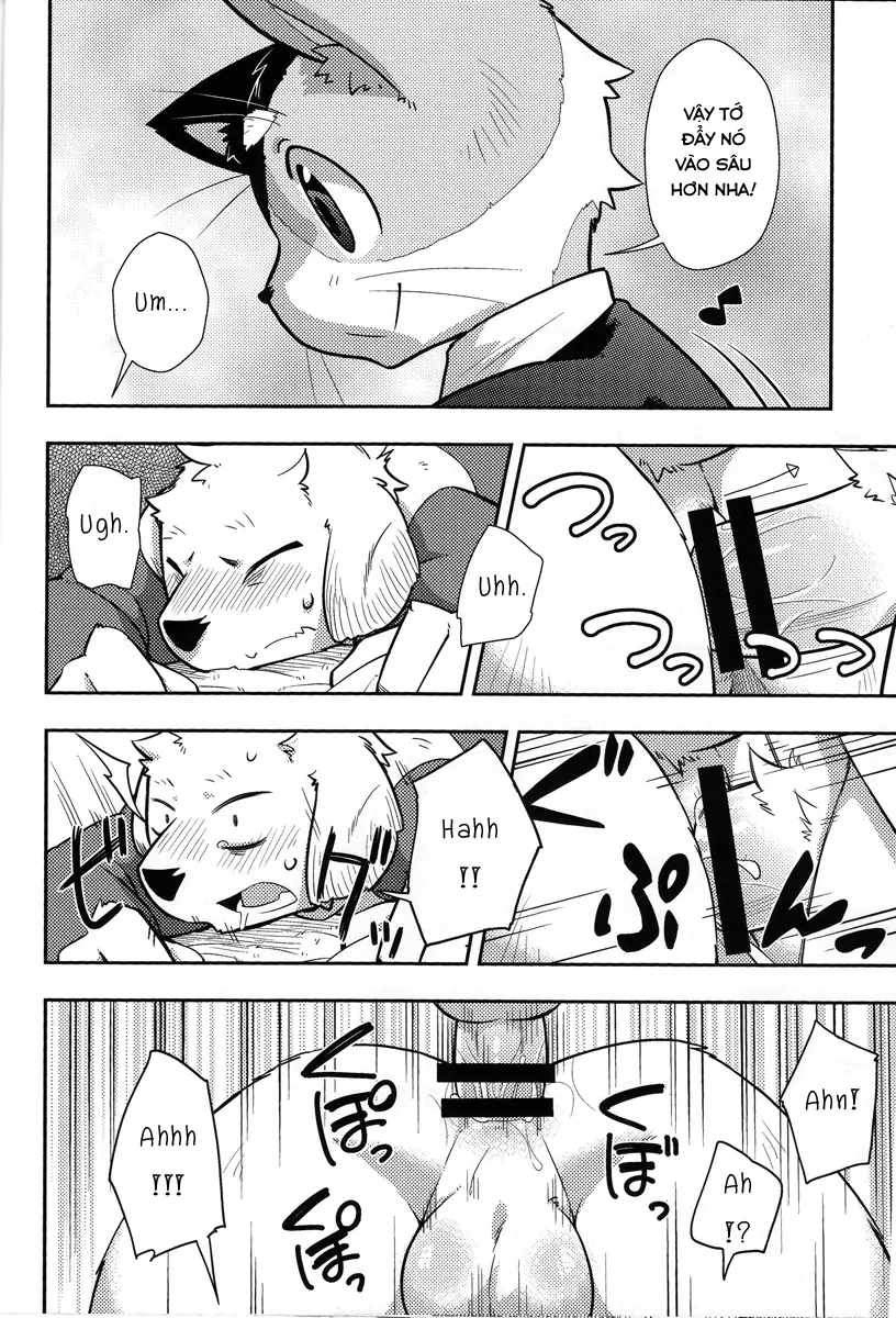 Đọc truyện hentai Harubon 9 - Oneshot