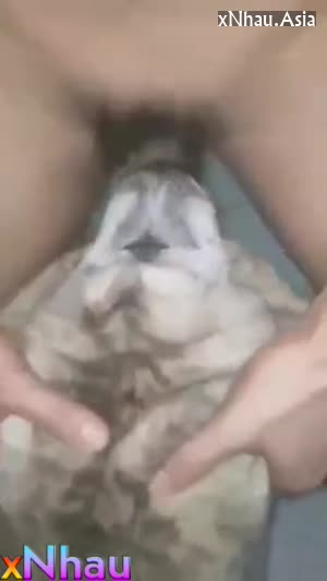 Trung niên và chú chó cưng nút cán (Trung niên và chú chó cưng nút cán) []