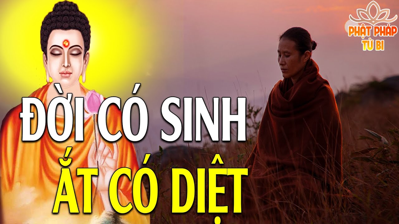 Đọc truyện hentai Froppy phiêu lưu ký - Chap 1