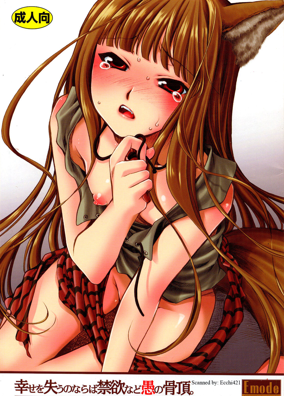 Đọc truyện hentai Shiawase o Ushinau Naraba Kinyoku Nado Gu no Kocchou (Sói và gia vị) - Oneshot