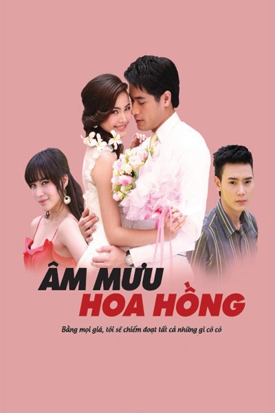 Âm Mưu Hoa Hồng