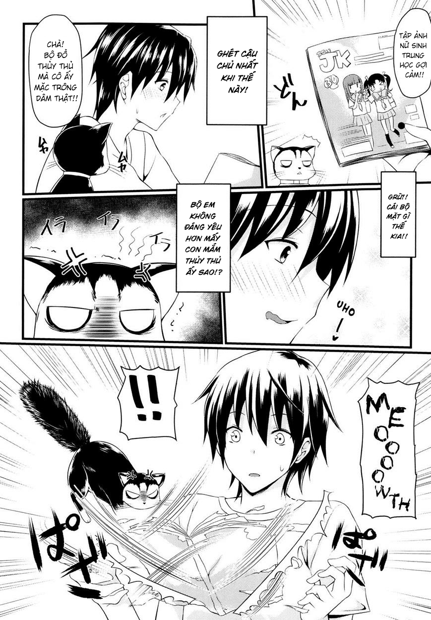 Đọc truyện hentai Câu chuyện về mèo và bạn - Oneshot