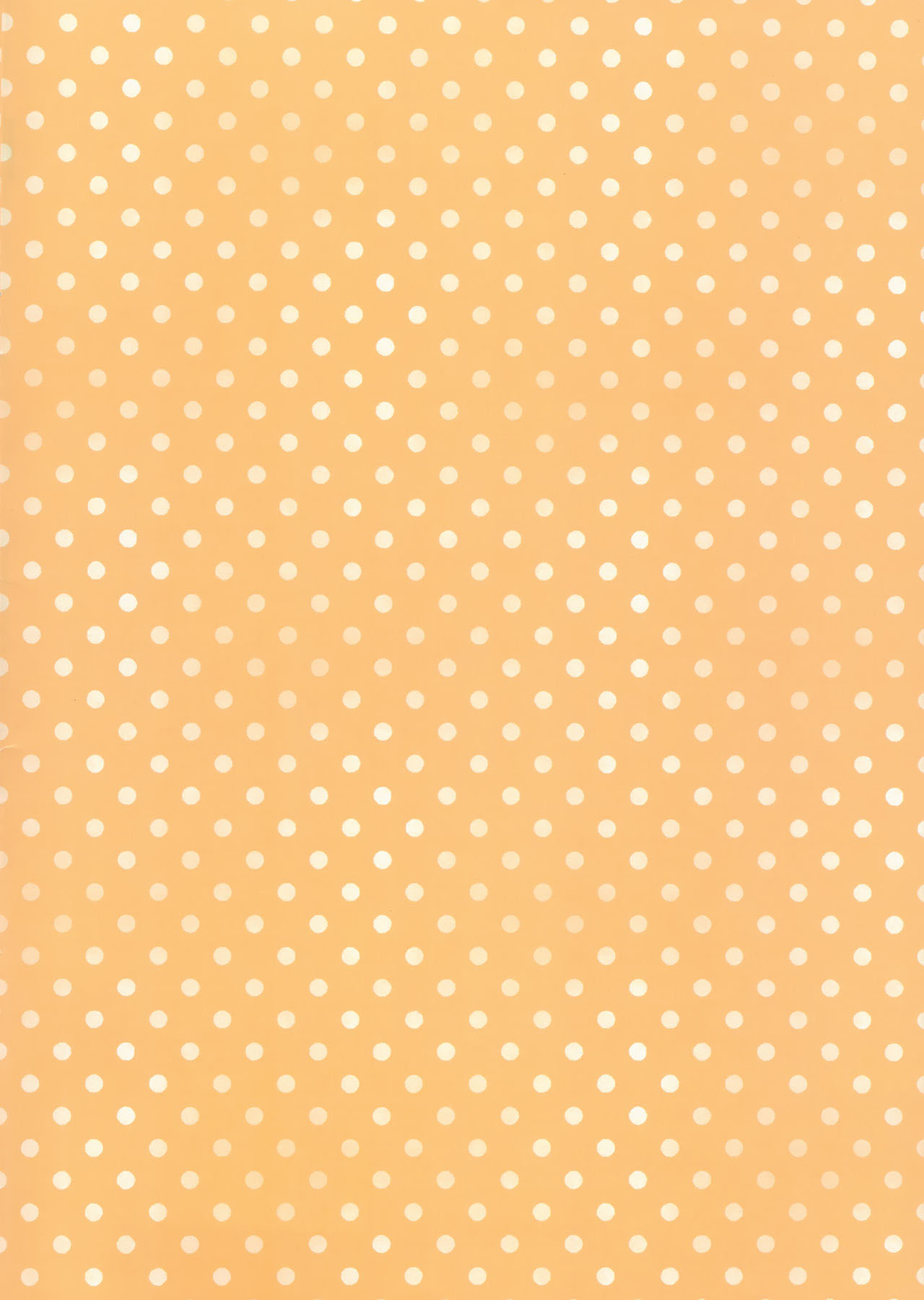 Đọc truyện hentai Lần đầu của tôi và cô em gái nhỏ - Oneshot