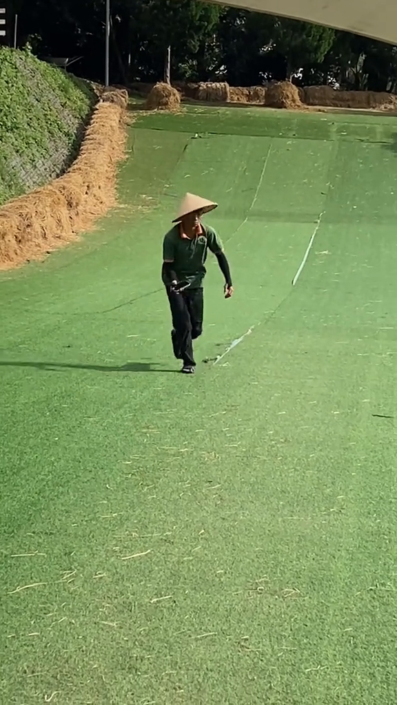 TikTok - Make Your Day