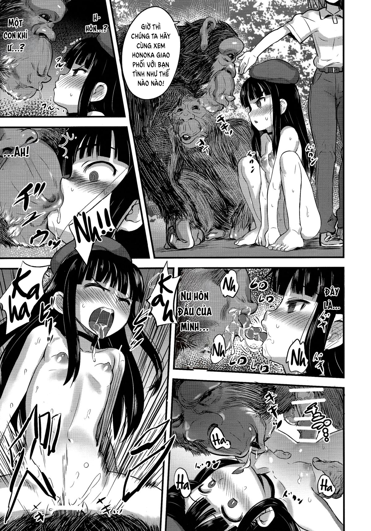 Đọc truyện hentai Công chúa khoả thân Honoka 2. Buổi triển lãm giao phối: Làm tình cùng với khỉ - Chap 1