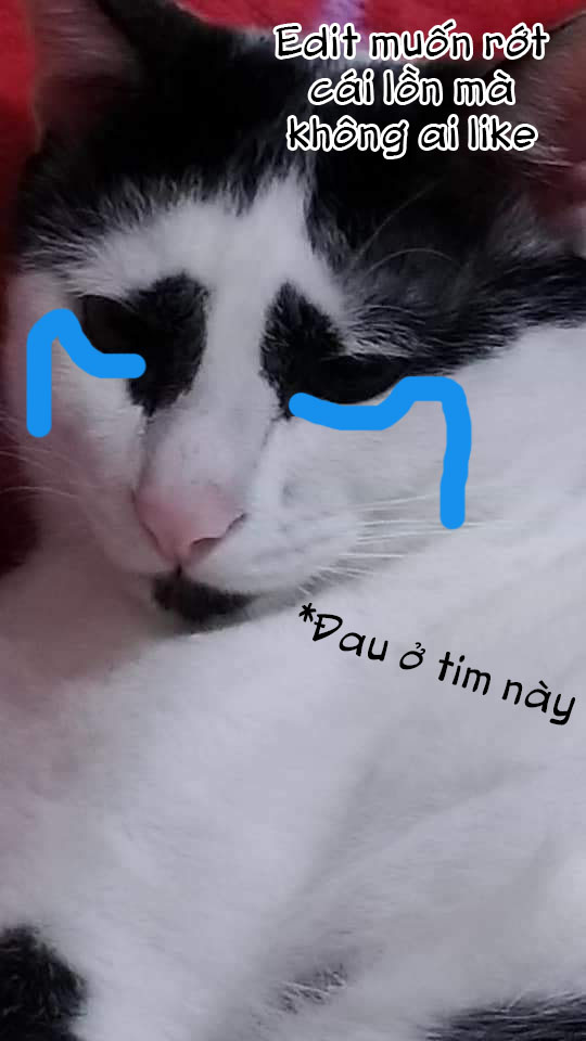 Đọc truyện hentai Haramido Elf - Oneshot