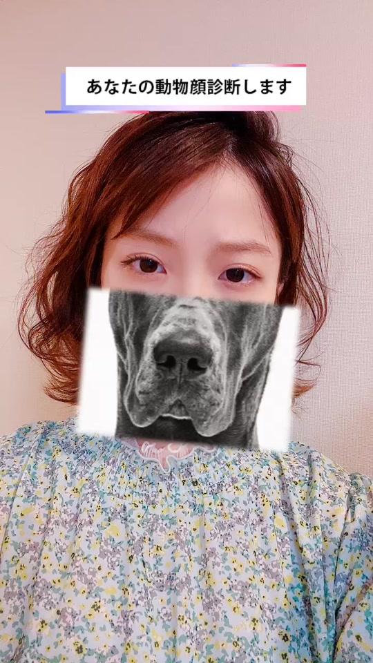 犬かな と思ってたのにな 動物顔診断 おうちで過ごし隊 おすすめにのりたい Momoka Jewel In Tiktok Exolyt