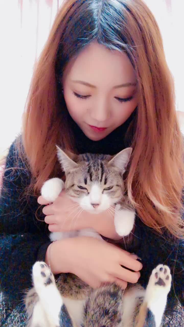 猫ダンス Tiktok Hashtag