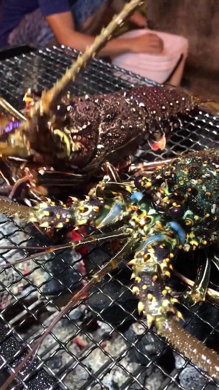 高級 Tiktok Hashtag