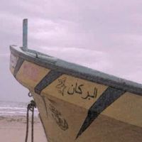 TikTok Account Photo