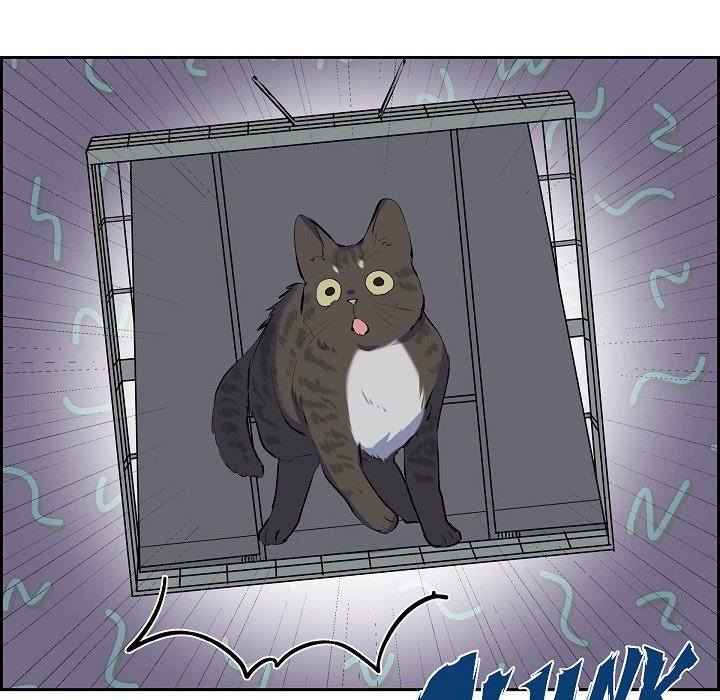 Lovers, Cats, and the Killer - episode 18 - 50