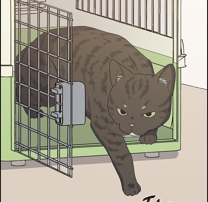 Lovers, Cats, and the Killer - episode 29 - 78
