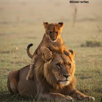 meershb0071