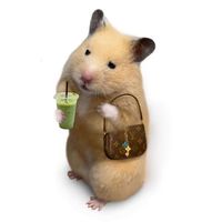 original sound - mirandita.leon