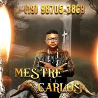 mestrecarlosoficial