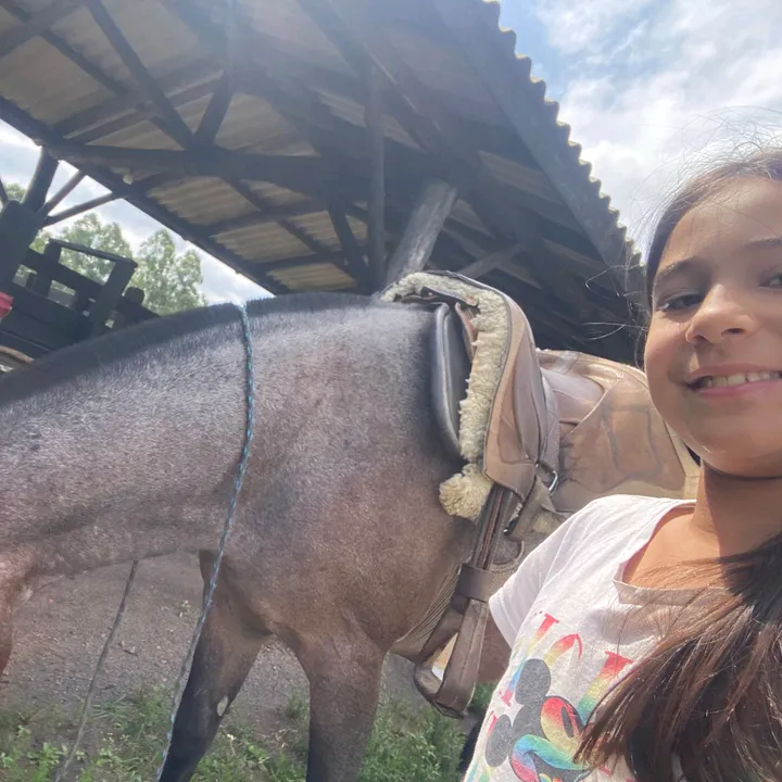 aninha.luiza2016