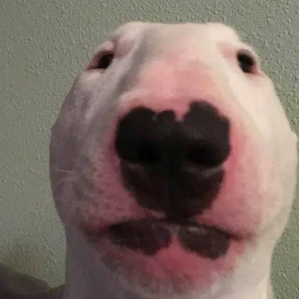 lazyfinalboss1