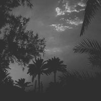 TikTok Account - https://p16-sg.tiktokcdn.com/tos-alisg-avt-0068/064009f80e91e5c5ab48b133cbe5ff34~tplv-tiktokx-cropcenter:200:200.jpeg