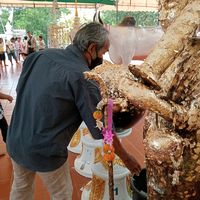 เสียงต้นฉบับ - ข่าวสารไทย