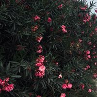 privvvate107