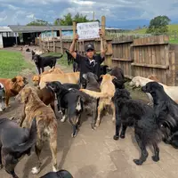 TikTok Account - juanpatv7