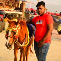 delwar4338892351221