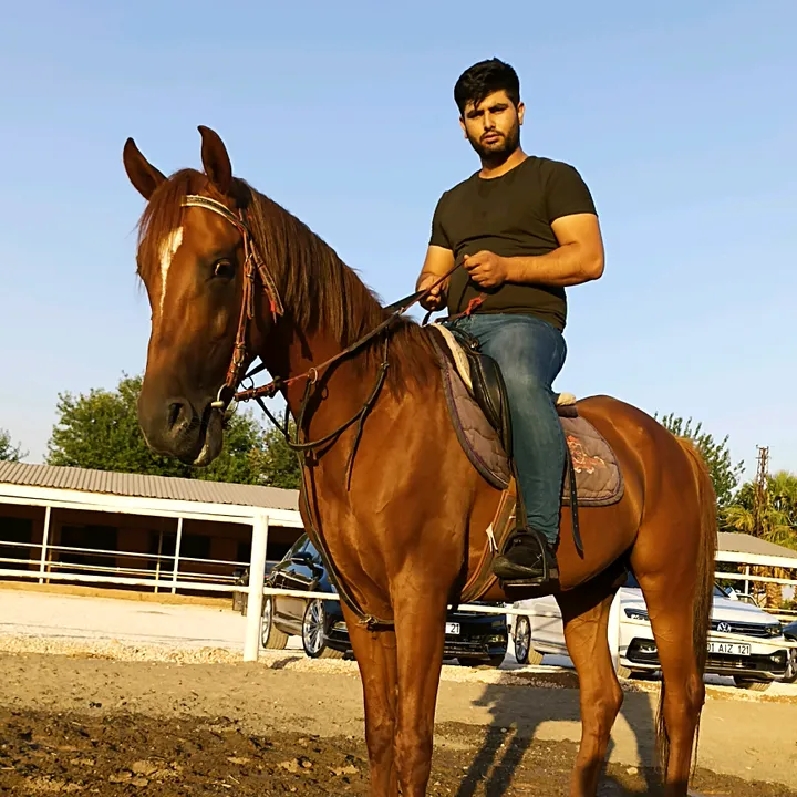 salihsanli6321