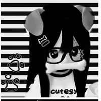 user325880668