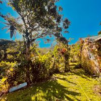 TikTok Account - https://p16-sg.tiktokcdn.com/tos-alisg-avt-0068/0abb9a2eb20cde6bcdbfbdcfadab29cd~tplv-tiktokx-cropcenter:200:200.jpeg