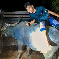 asfzannasrullah6
