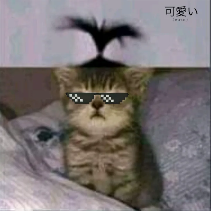 tyoxz14