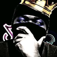 TikTok Account - https://p16-sg.tiktokcdn.com/tos-alisg-avt-0068/0c44f0e757f747334003b63e211e7efd~tplv-tiktokx-cropcenter:200:200.jpeg