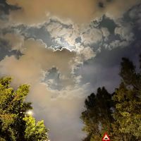 TikTok Account - https://p16-sg.tiktokcdn.com/tos-alisg-avt-0068/0c6ce0daa75ad371a262c6d6d604787b~tplv-tiktokx-cropcenter:200:200.jpeg