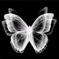 TikTok Account - https://p16-sg.tiktokcdn.com/tos-alisg-avt-0068/0e13583ff19ce1b182c92c36c8cef776~tplv-tiktokx-cropcenter:200:200.jpeg