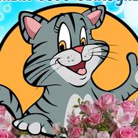 TikTok Account Photo