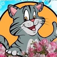 TikTok Account Photo