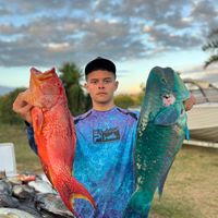 TikTok Account - https://p16-sg.tiktokcdn.com/tos-alisg-avt-0068/0e7a726c54d26b26420a17410fb8c1ac~tplv-tiktokx-cropcenter:200:200.jpeg