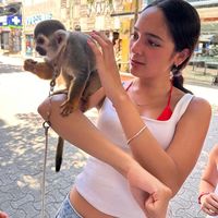 TikTok Account - https://p16-sg.tiktokcdn.com/tos-alisg-avt-0068/0f672bdbdd575fd9688ebd0c7dc23511~tplv-tiktokx-cropcenter:200:200.jpeg