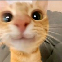 _zednanreh30