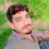 shazadshazad341