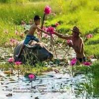 TikTok Account - https://p16-sg.tiktokcdn.com/tos-alisg-avt-0068/12160f2cd979f01ee46aefe9a6323331~tplv-tiktokx-cropcenter-q:200:200:q70.jpg