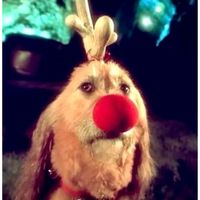 original sound - coconugget_4