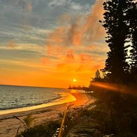 TikTok Account - https://p16-sg.tiktokcdn.com/tos-alisg-avt-0068/141412564683381fbbf791c73d0e536b~tplv-tiktokx-cropcenter:200:200.jpeg