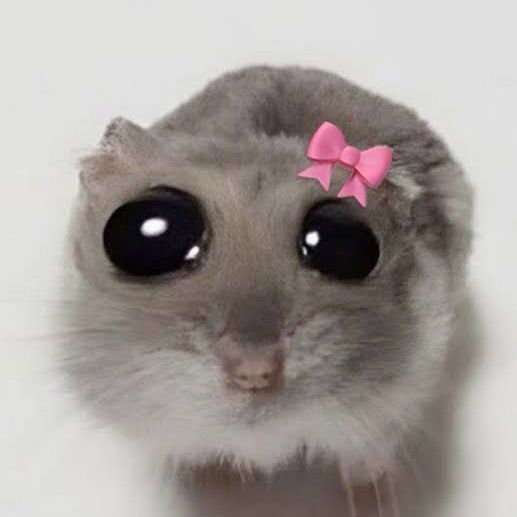 cindyellen.w